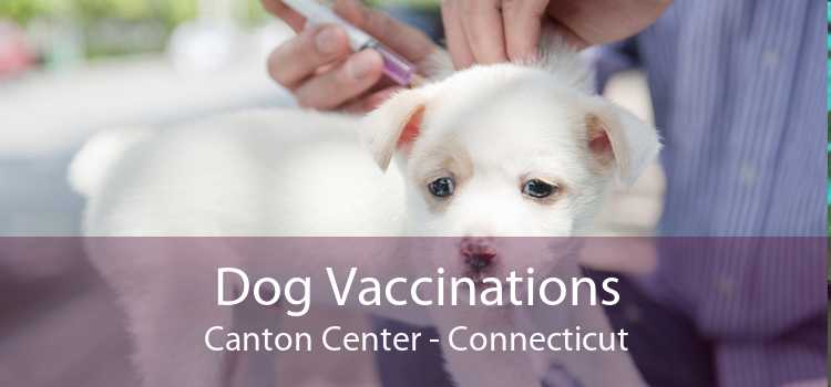 Dog Vaccinations Canton Center - Connecticut