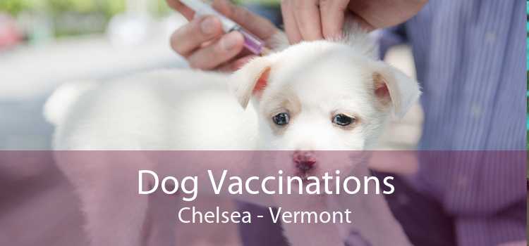 Dog Vaccinations Chelsea - Vermont