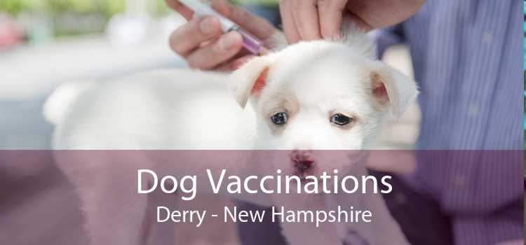 Dog Vaccinations Derry - New Hampshire