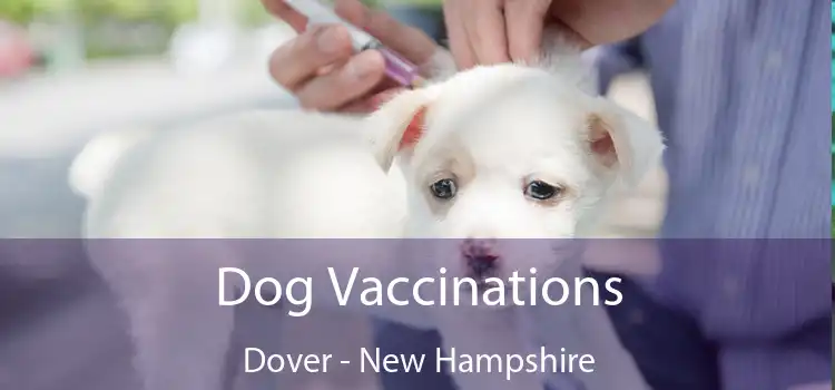 Dog Vaccinations Dover - New Hampshire
