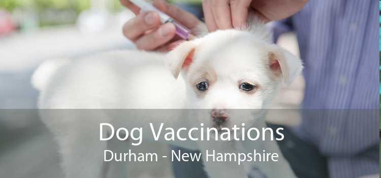 Dog Vaccinations Durham - New Hampshire