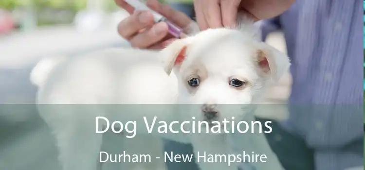 Dog Vaccinations Durham - New Hampshire