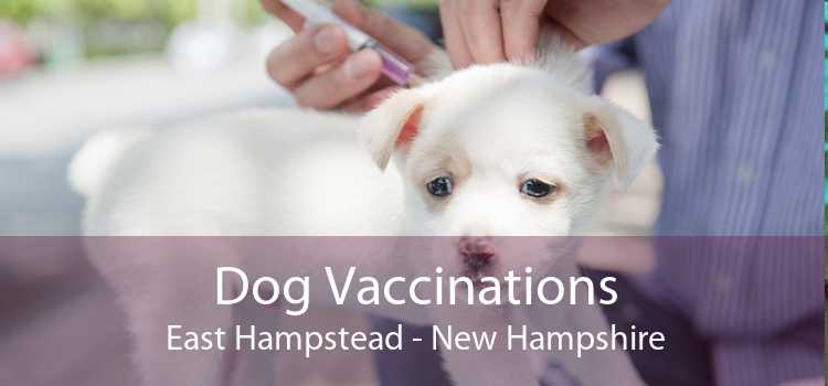 Dog Vaccinations East Hampstead - New Hampshire