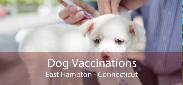 Dog Vaccinations East Hampton - Connecticut