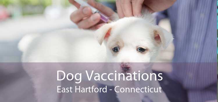 Dog Vaccinations East Hartford - Connecticut