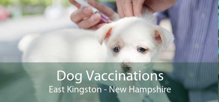 Dog Vaccinations East Kingston - New Hampshire