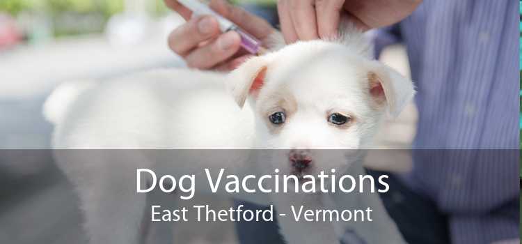 Dog Vaccinations East Thetford - Vermont
