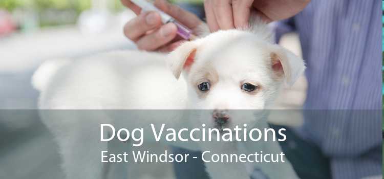 Dog Vaccinations East Windsor - Connecticut