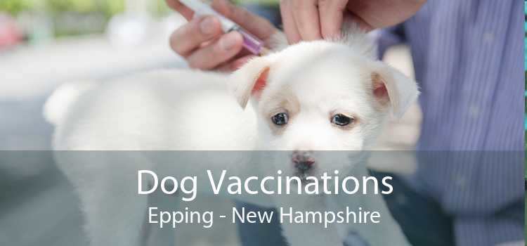 Dog Vaccinations Epping - New Hampshire