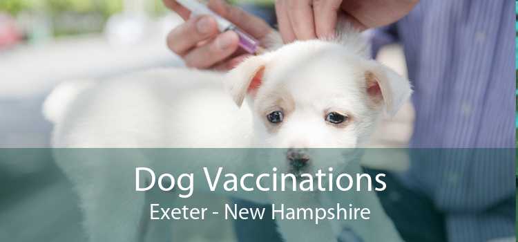 Dog Vaccinations Exeter - New Hampshire