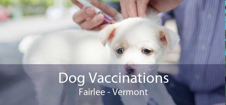 Dog Vaccinations Fairlee - Vermont