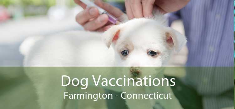 Dog Vaccinations Farmington - Connecticut
