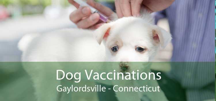 Dog Vaccinations Gaylordsville - Connecticut
