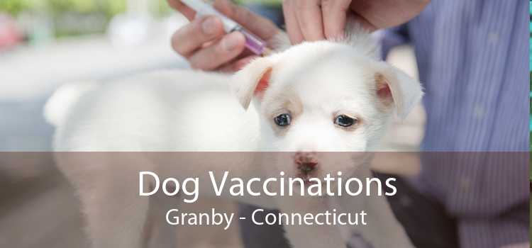Dog Vaccinations Granby - Connecticut