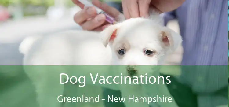Dog Vaccinations Greenland - New Hampshire