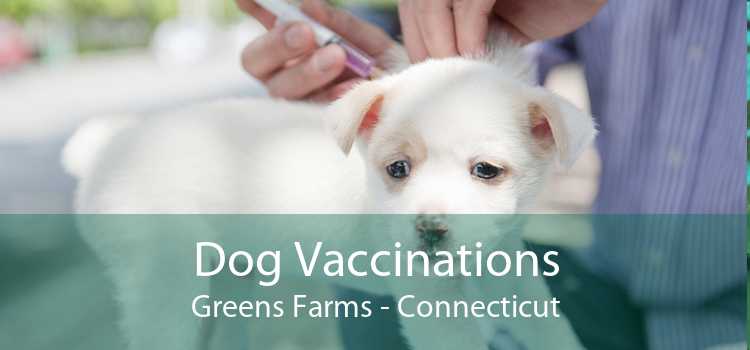 Dog Vaccinations Greens Farms - Connecticut
