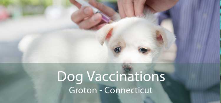 Dog Vaccinations Groton - Connecticut