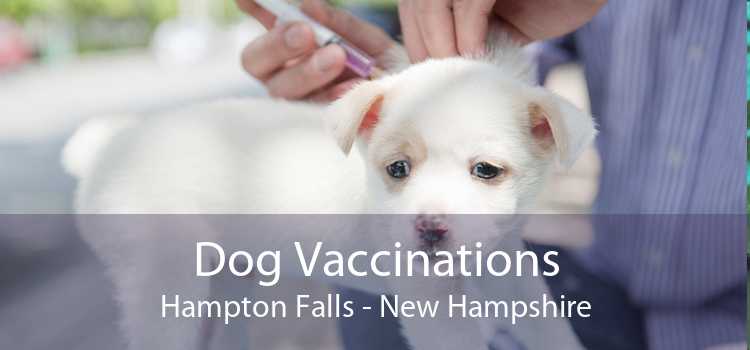 Dog Vaccinations Hampton Falls - New Hampshire