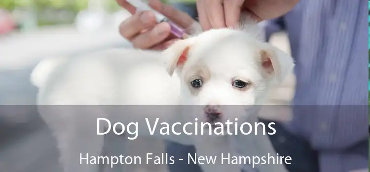 Dog Vaccinations Hampton Falls - New Hampshire
