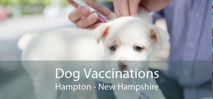 Dog Vaccinations Hampton - New Hampshire