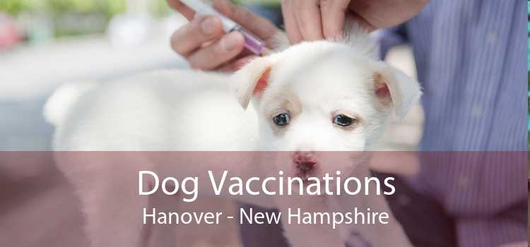 Dog Vaccinations Hanover - New Hampshire