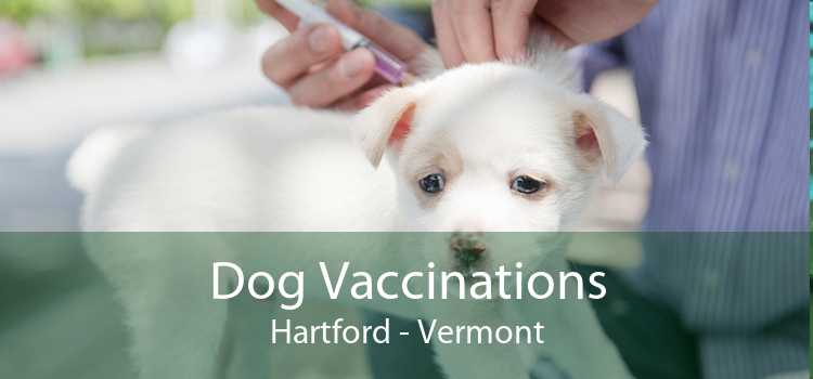 Dog Vaccinations Hartford - Vermont