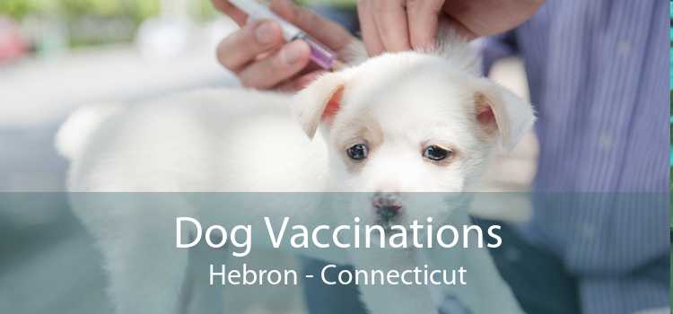 Dog Vaccinations Hebron - Connecticut