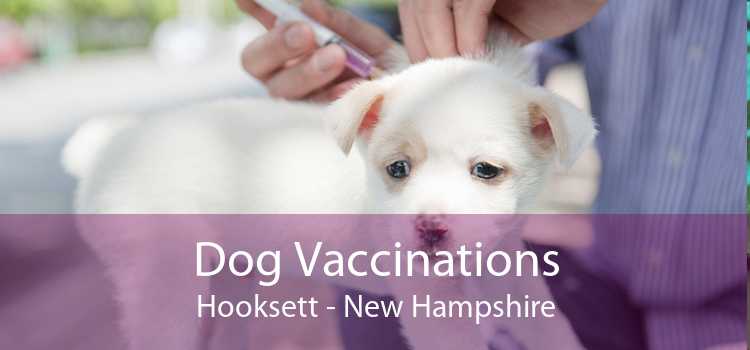 Dog Vaccinations Hooksett - New Hampshire
