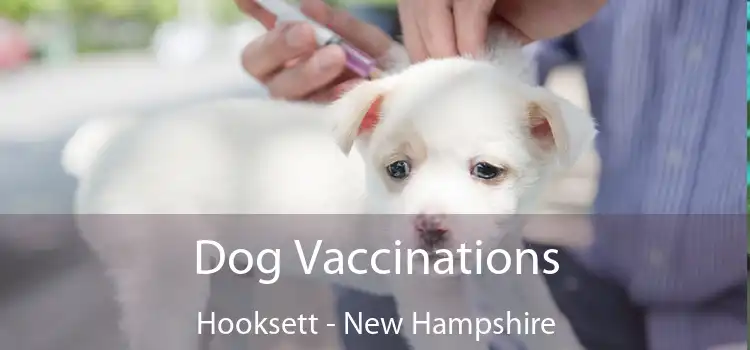 Dog Vaccinations Hooksett - New Hampshire
