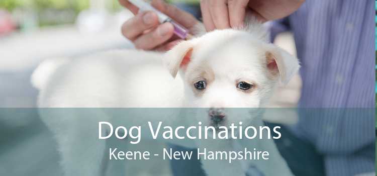 Dog Vaccinations Keene - New Hampshire