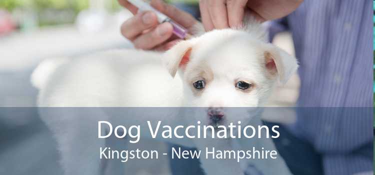 Dog Vaccinations Kingston - New Hampshire