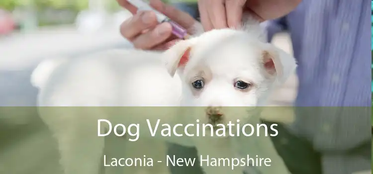 Dog Vaccinations Laconia - New Hampshire