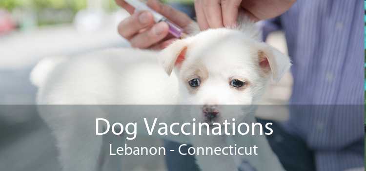 Dog Vaccinations Lebanon - Connecticut