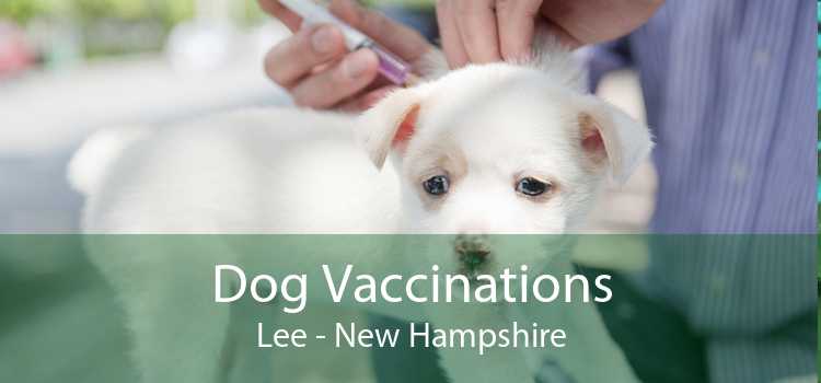 Dog Vaccinations Lee - New Hampshire