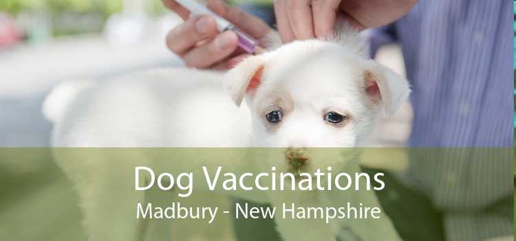 Dog Vaccinations Madbury - New Hampshire