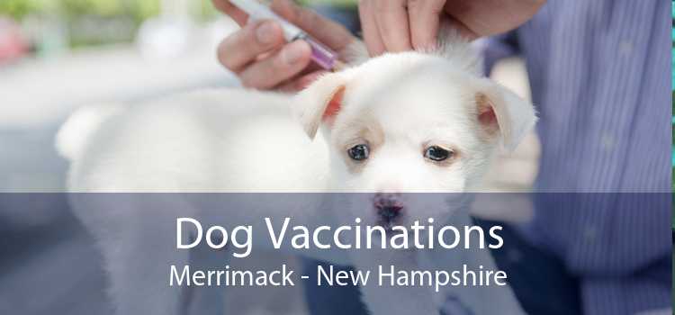 Dog Vaccinations Merrimack - New Hampshire