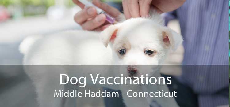 Dog Vaccinations Middle Haddam - Connecticut
