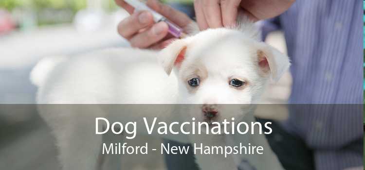 Dog Vaccinations Milford - New Hampshire
