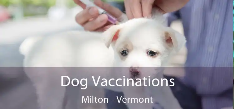Dog Vaccinations Milton - Vermont