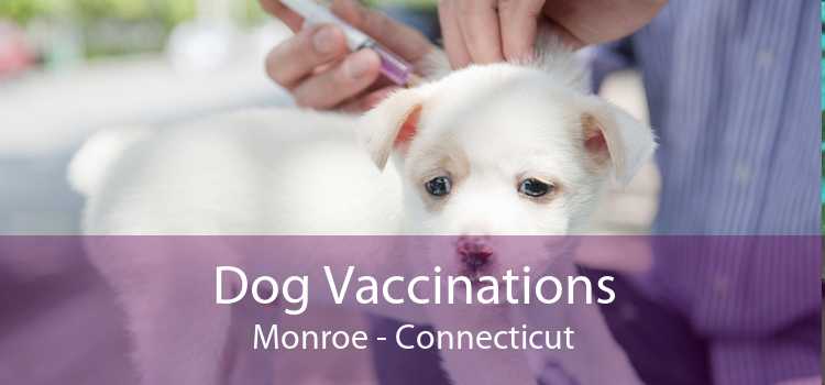 Dog Vaccinations Monroe - Connecticut