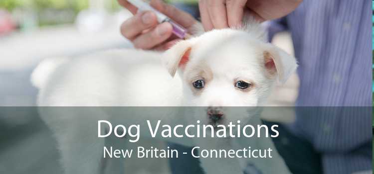 Dog Vaccinations New Britain - Connecticut