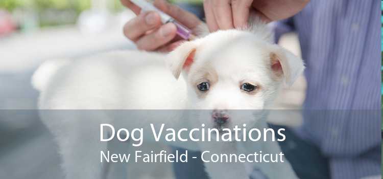 Dog Vaccinations New Fairfield - Connecticut