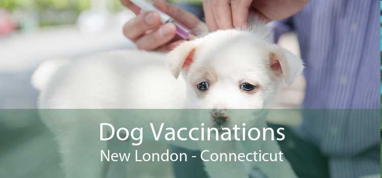 Dog Vaccinations New London - Connecticut
