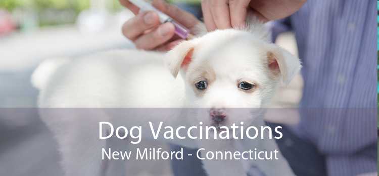 Dog Vaccinations New Milford - Connecticut