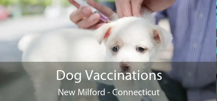Dog Vaccinations New Milford - Connecticut