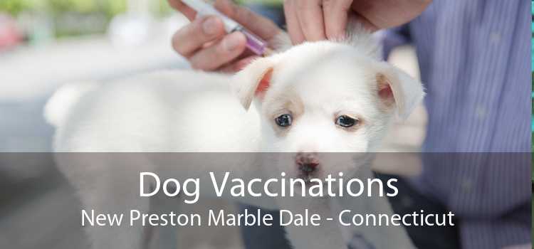 Dog Vaccinations New Preston Marble Dale - Connecticut