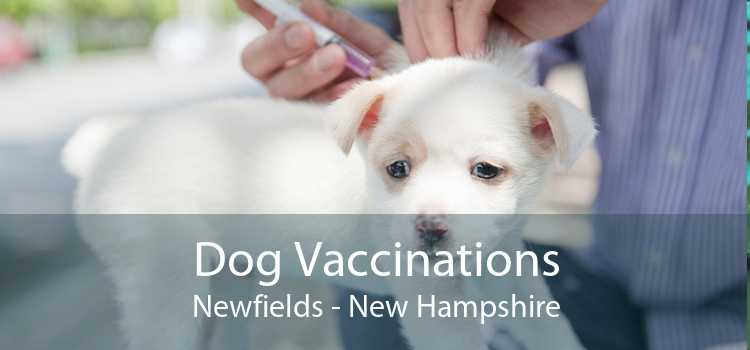 Dog Vaccinations Newfields - New Hampshire