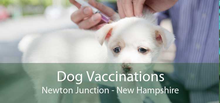 Dog Vaccinations Newton Junction - New Hampshire