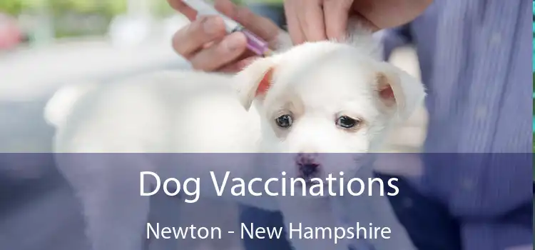 Dog Vaccinations Newton - New Hampshire
