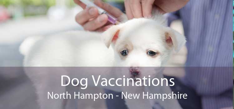 Dog Vaccinations North Hampton - New Hampshire